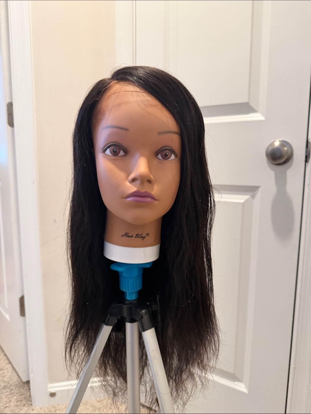 Human Hair Wig Unit